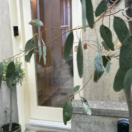 Apartment Dun Laoghaire Coastal Retreat & Hidden Getaway Dublin